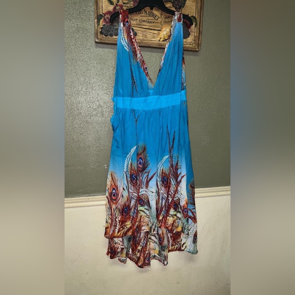 Beautiful elegant peacock dress